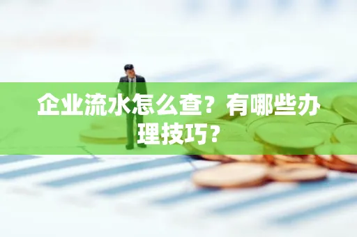 企业流水怎么查？有哪些办理技巧？