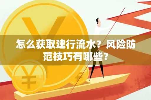 怎么获取建行流水？风险防范技巧有哪些？