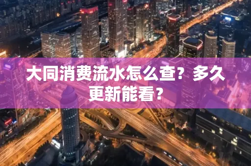 大同消费流水怎么查？多久更新能看？