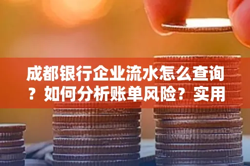 成都银行企业流水怎么查询？如何分析账单风险？实用指南